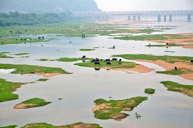 10 consejos para viajar a la India.