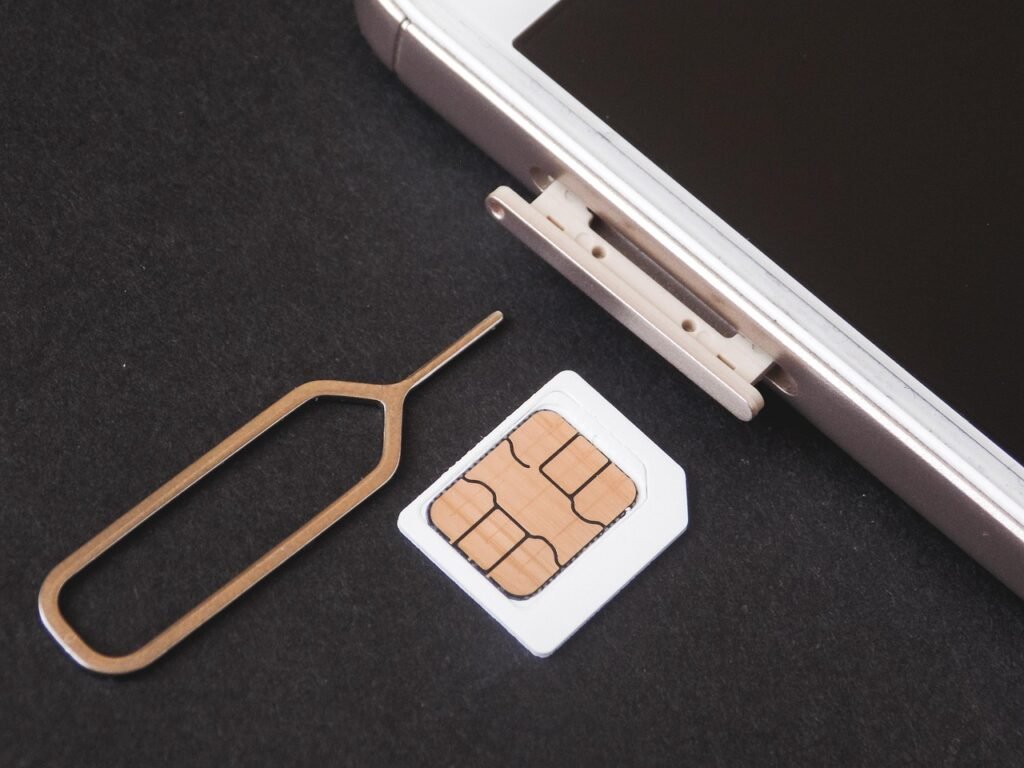 eSIM o tarjeta SIM en India